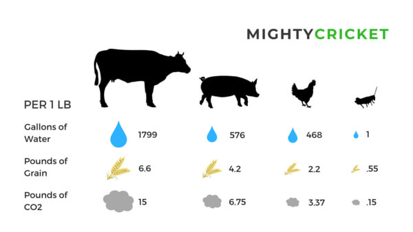 Mighty Cricket Protein Powder sustainability comparison between beef, pork and chicken.