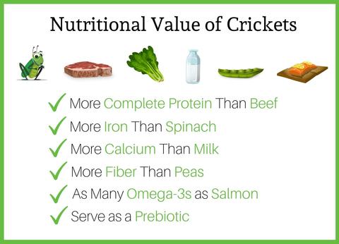 nutritional value of cricket 