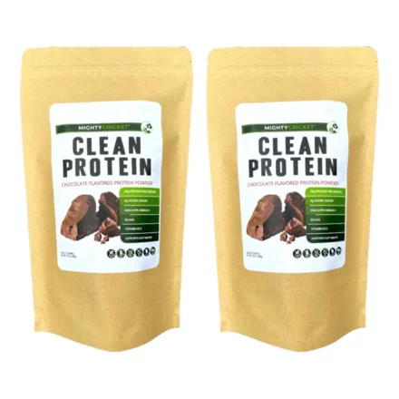 chocolate-cricket-protein-2-pack