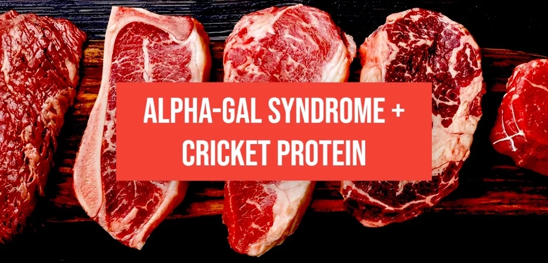 Alpha-gal Syndrome: How Cricket Protein Can Help Those with Red Meat Allergies