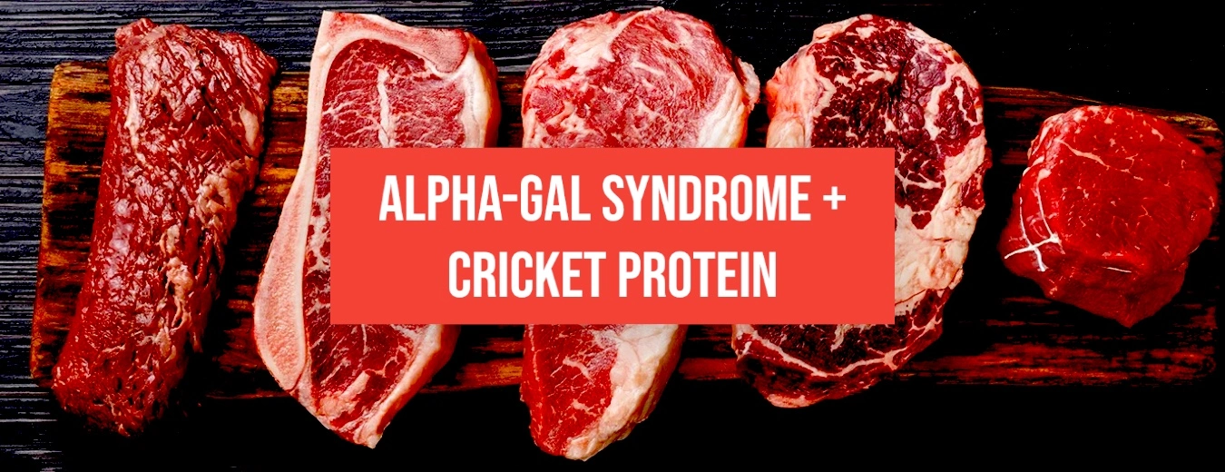 alpha-gal-syndrome