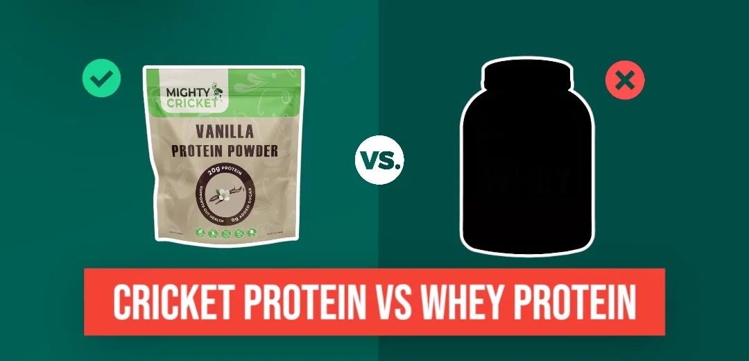 3 Reasons Why You Should Choose Cricket Protein Over Whey Protein