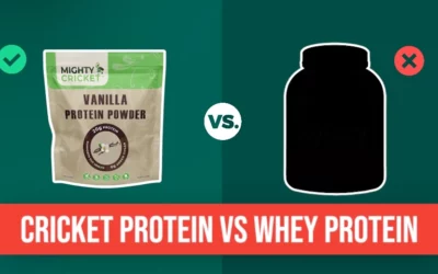 3 Reasons Why You Should Choose Cricket Protein Over Whey Protein
