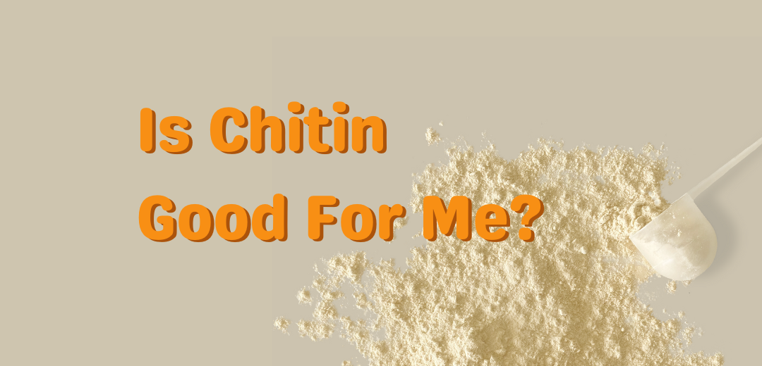 Vanilla Chitin Powder