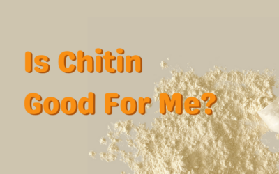 Is Chitin Good for Me?