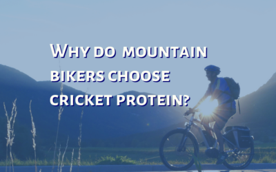 Why do Mountain Bikers choose Mighty Cricket Protein for performance?
