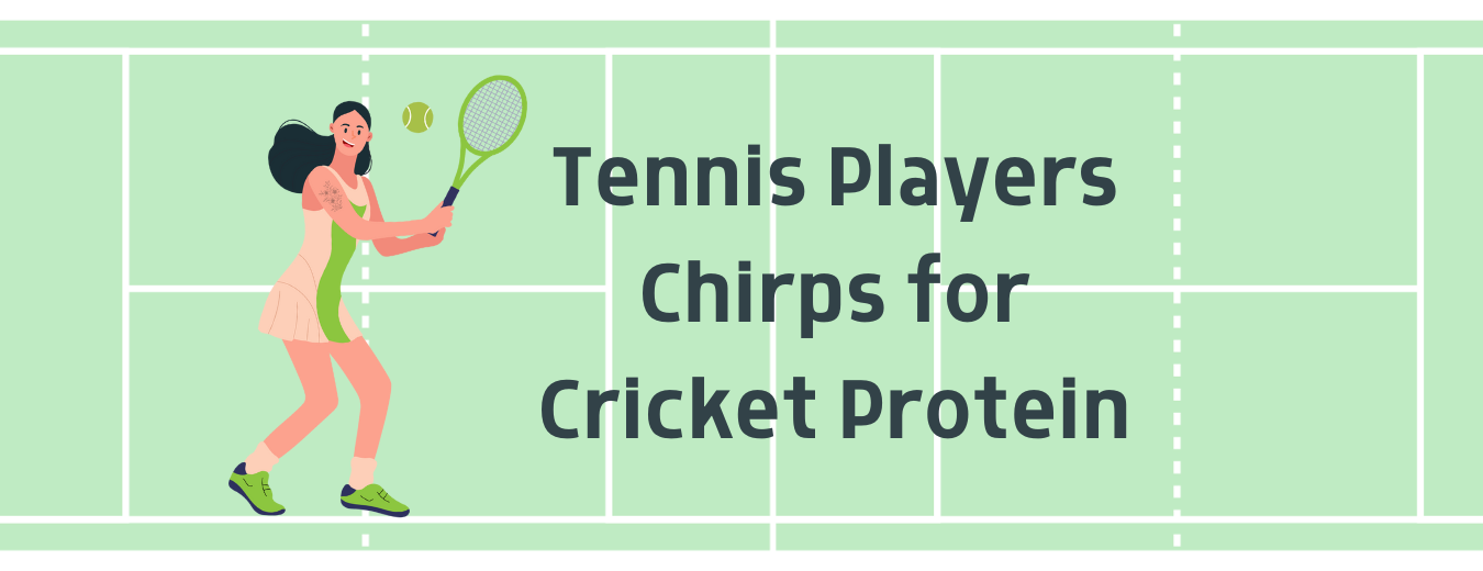 Protein sources for tennis players