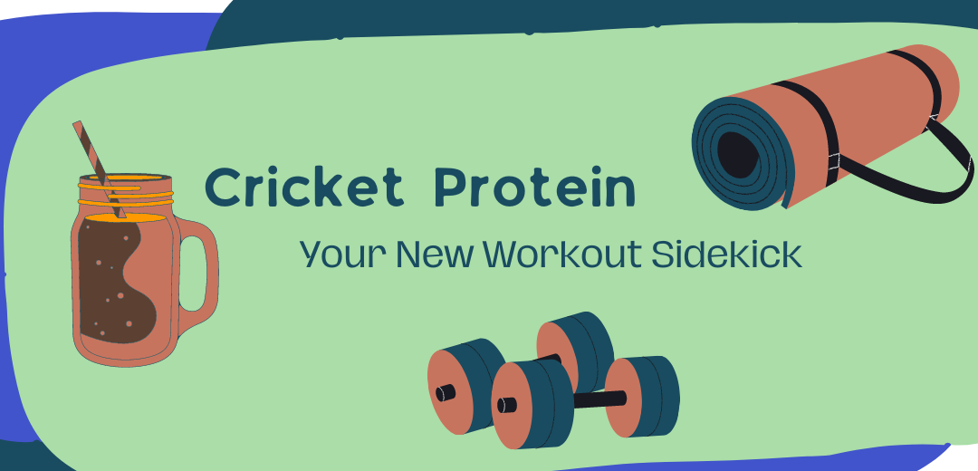 Cricket Protein: Your New Workout Sidekick