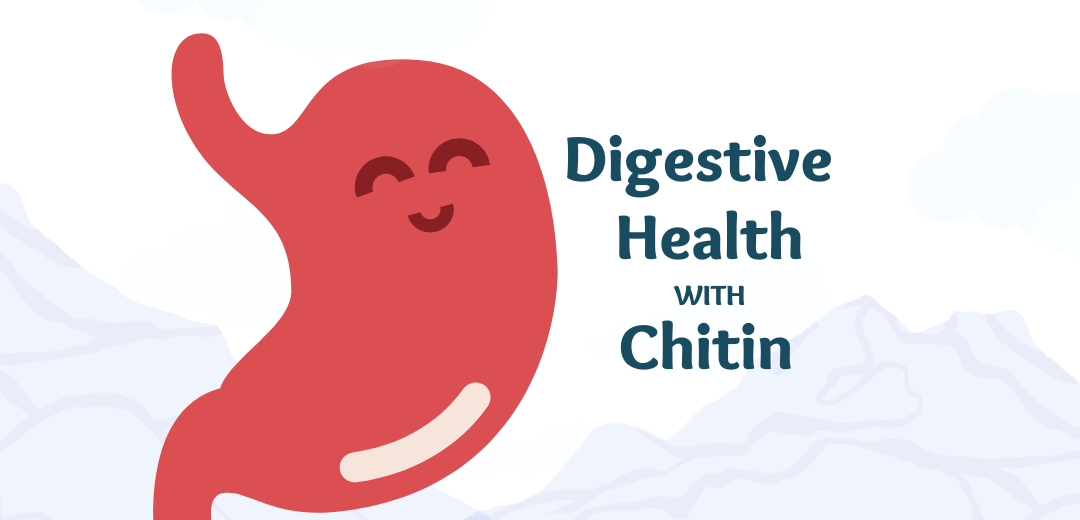 Happy Digestive System with Chitin