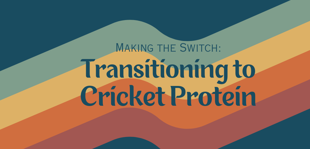 Making the Switch: Transitioning to Cricket Protein