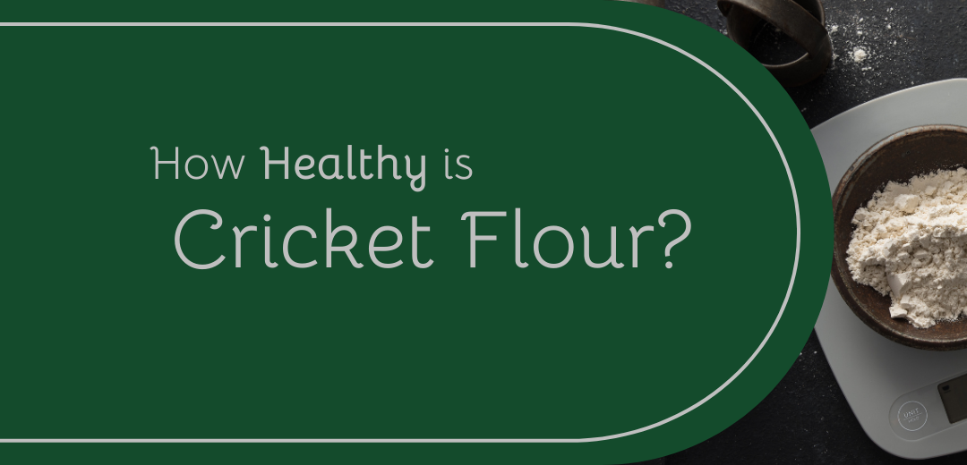 How Healthy is Cricket Flour?