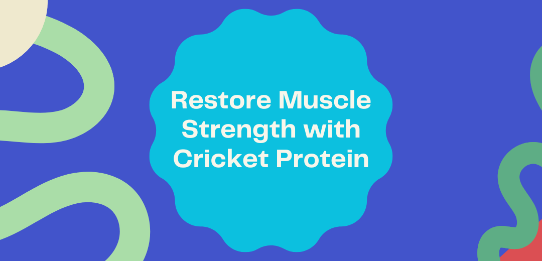 Restore Muscle Strength with Cricket Protein