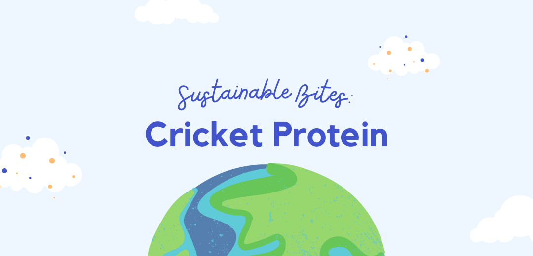Sustainable Bites: Cricket Protein
