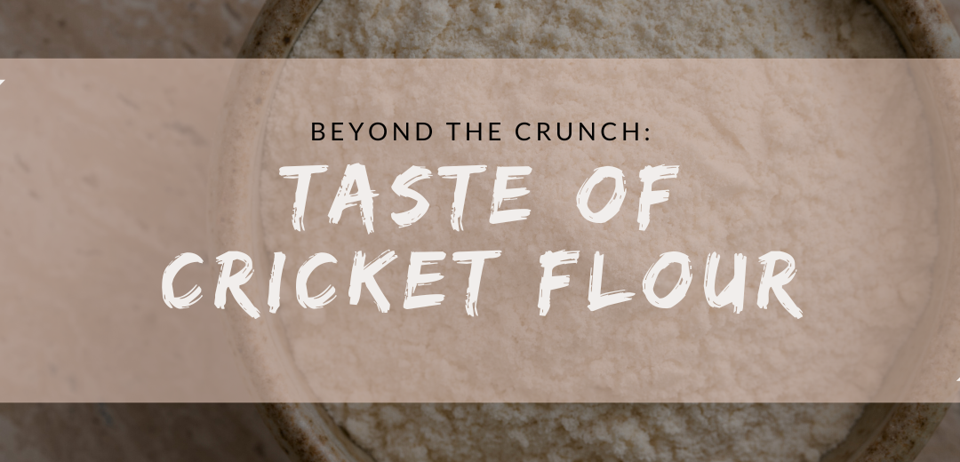 Beyond the Crunch: taste of Cricket Flour