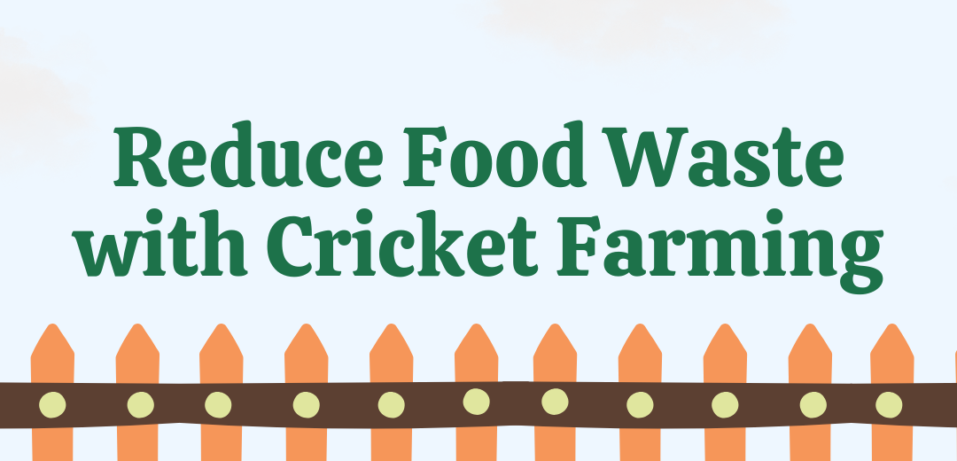 Reducing Food Waste with Cricket Farming: A Win-Win Solution