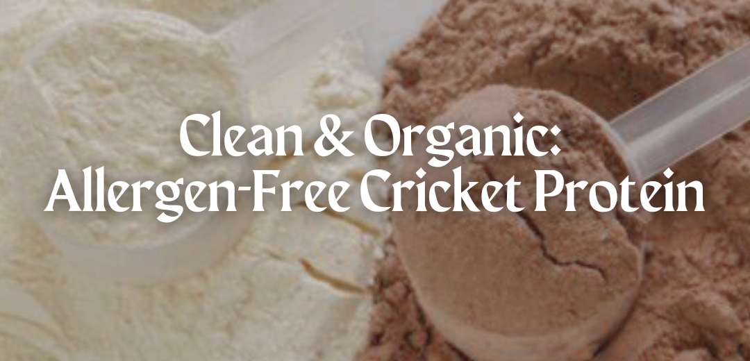 Clean Protein: Mighty Cricket’s Allergen-Free & Organic Protein Powder